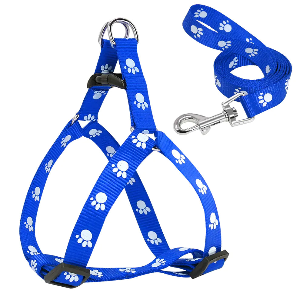The Aero-Couture: Patterned Designer Collar & Lead System
