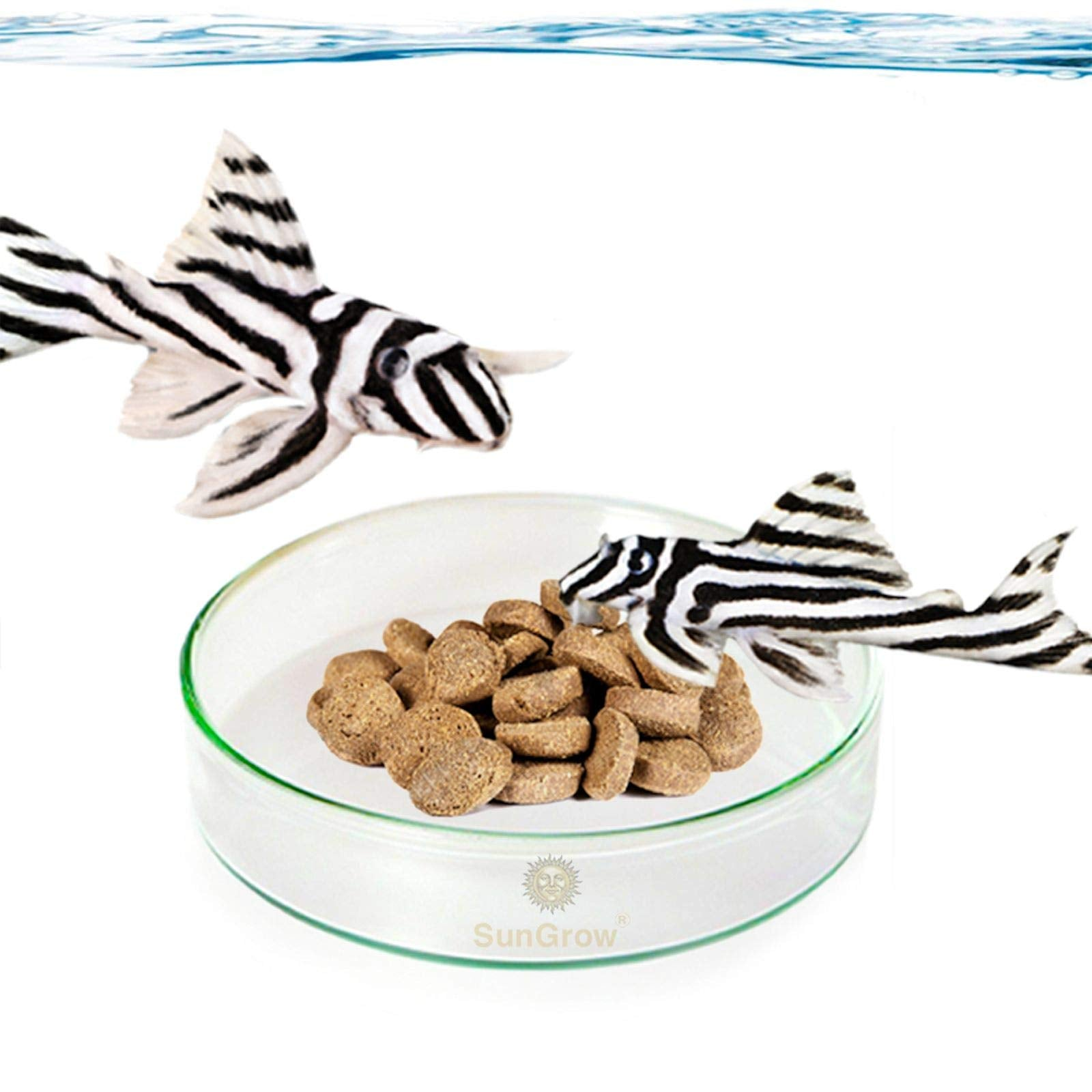 Aero - Lens™ Benthic Nutrient Hub Pets - Small Animal Supplies Petcetera™