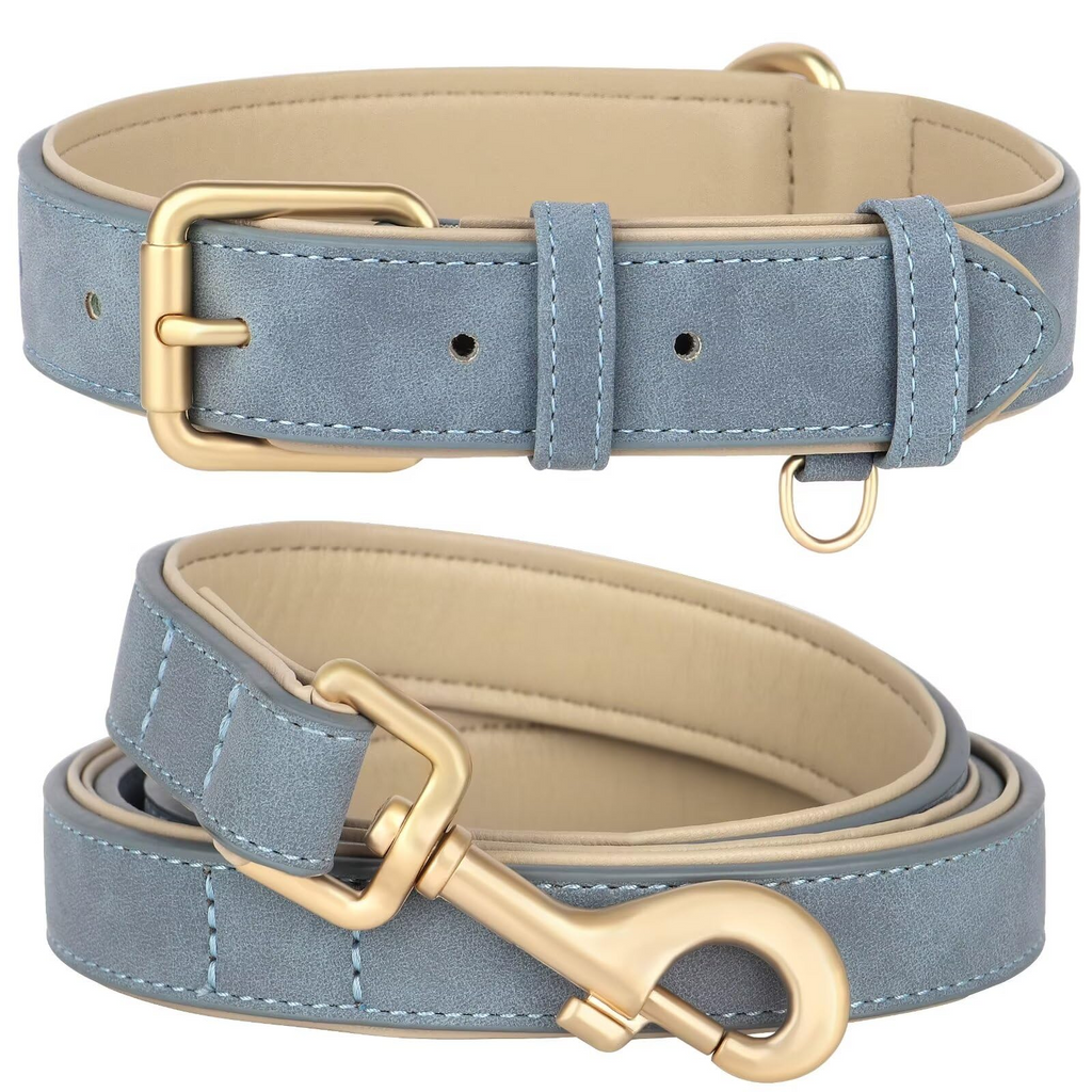 Aero - Task™ Padded Leather Interface Pets - Dog Collars & Leads Petcetera™