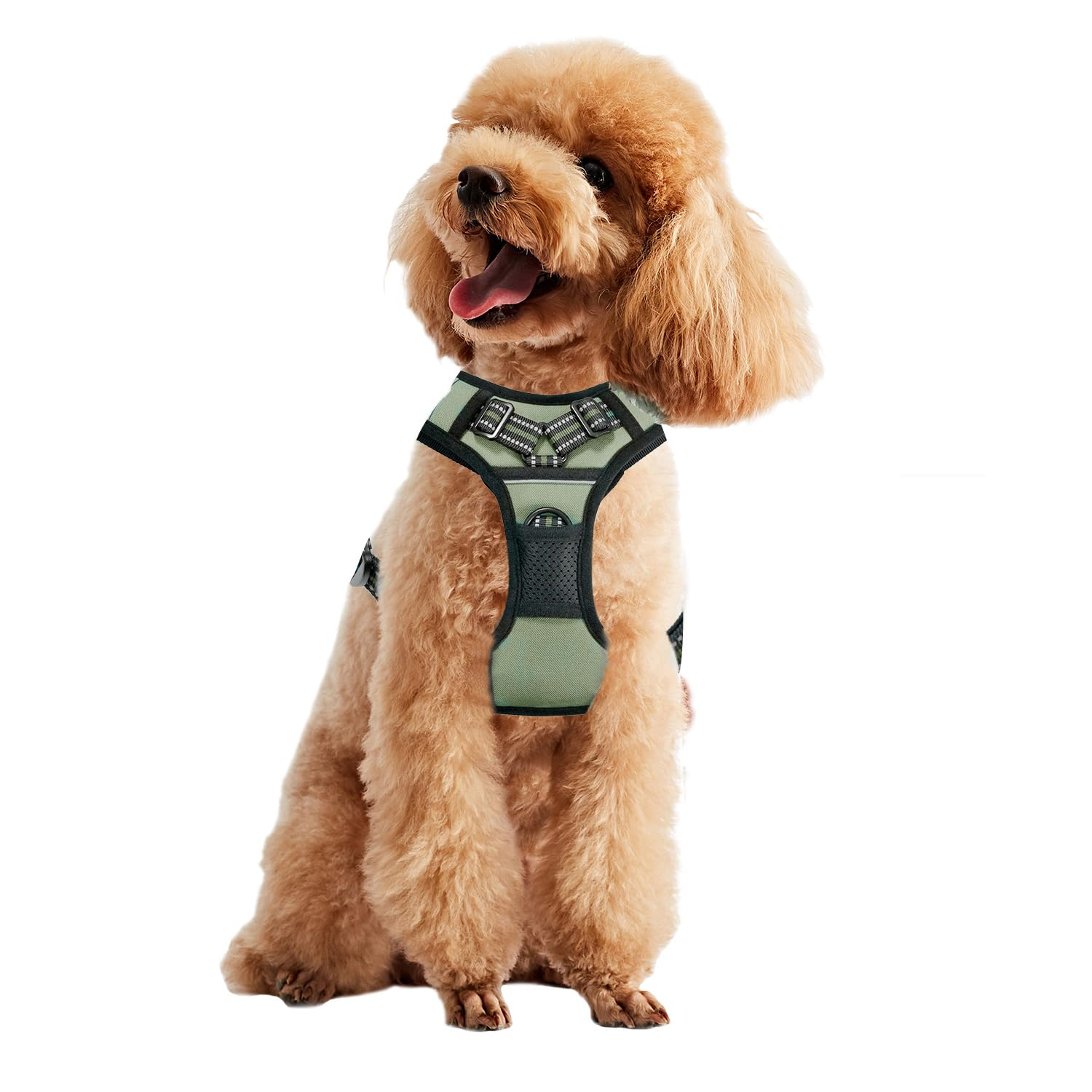 Aero - Shell™ Lightweight Guardian Pets - Dog Collars & Leads Petcetera™
