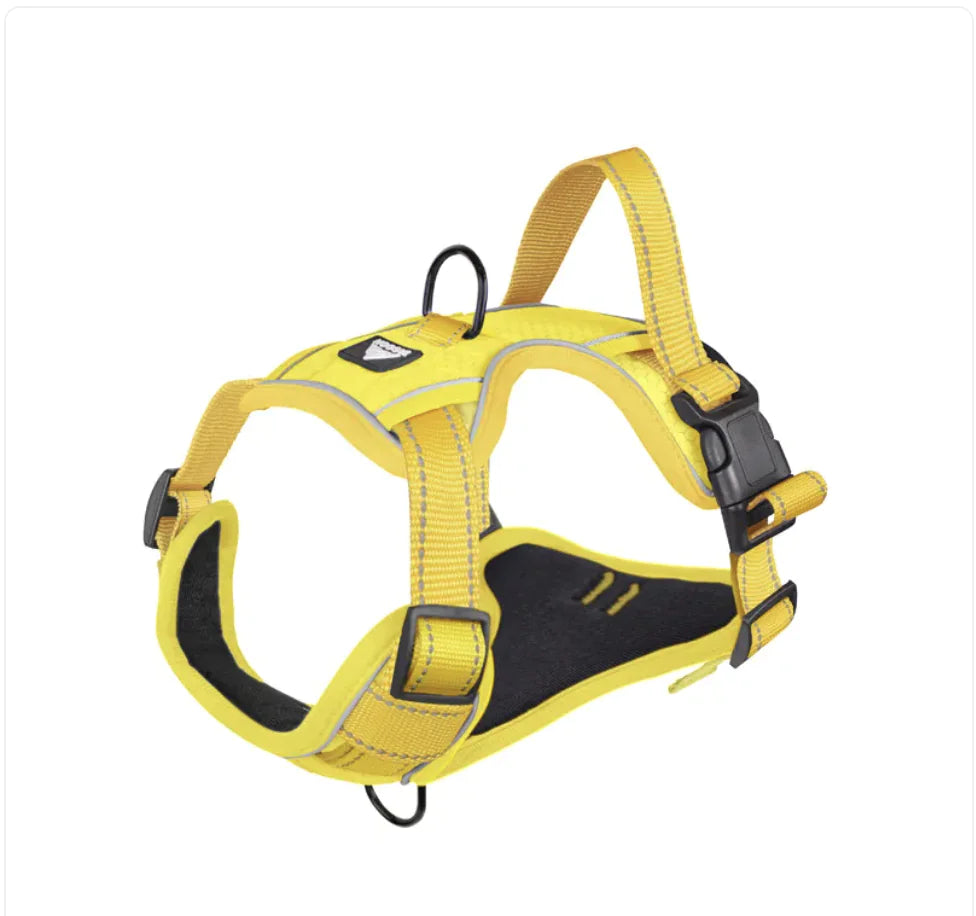 The Aero-Avenue: Night-Vision High-Visibility Harness