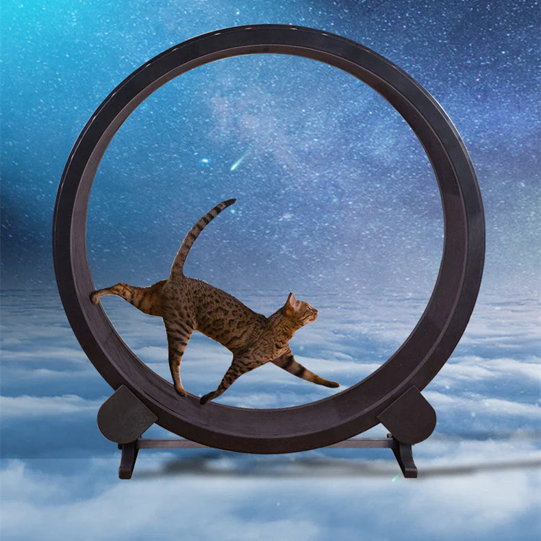 The "Aero-Orbit" | Silent Integrated Kinetic Cat Fitness Wheel