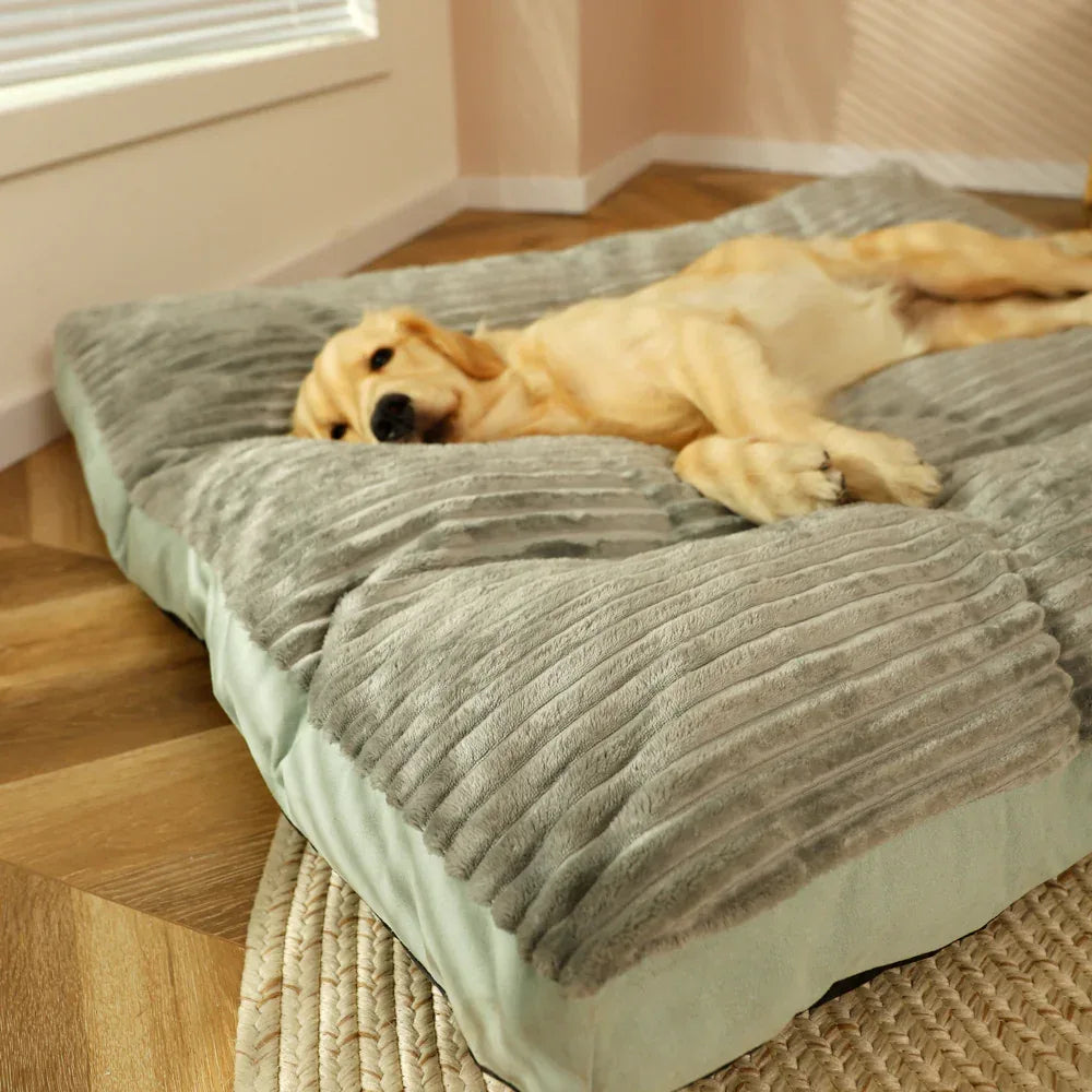 The "Aero-Rest"™ | Premium Orthopedic Estate Bed