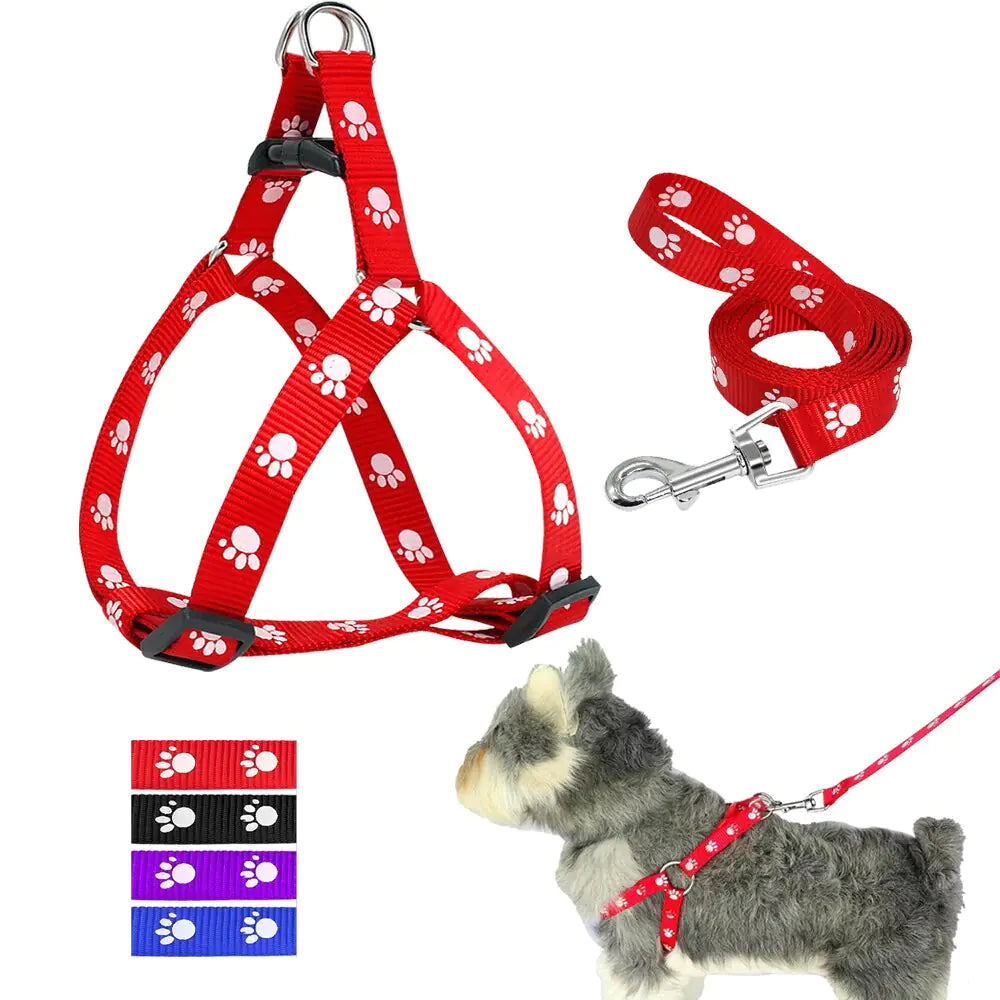 The Aero-Couture: Patterned Designer Collar & Lead System