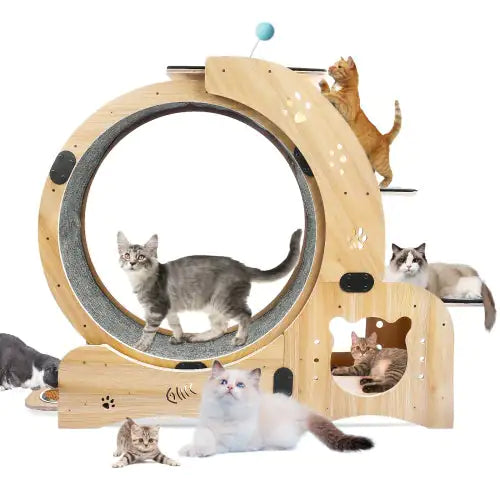 Precision-Engineered Silent Cat Running Wheel