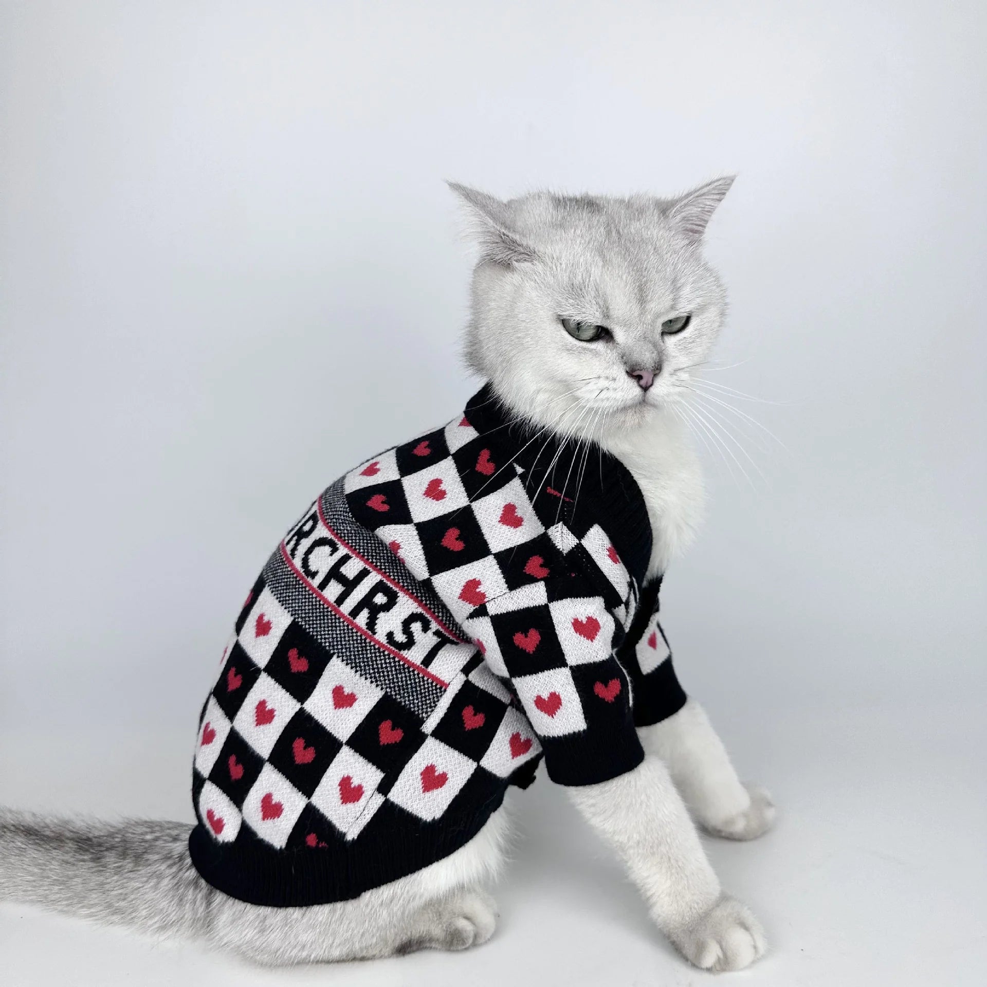 The Monochrome Grid™ Urban Hoodie