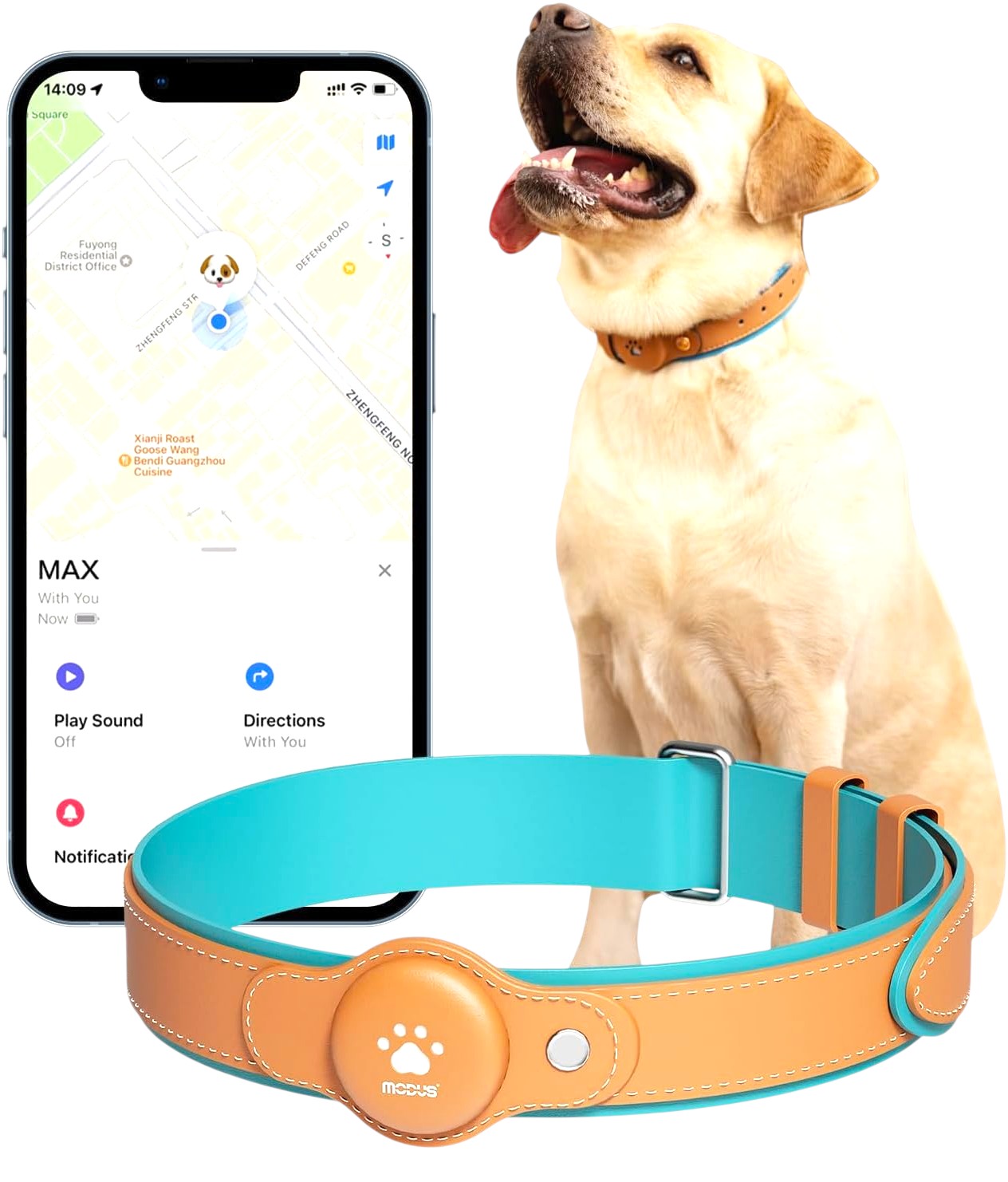 Aero - Track™ | Integrated 2 - in - 1 Smart Navigation Collar Pets - Dog Electronics Petcetera™