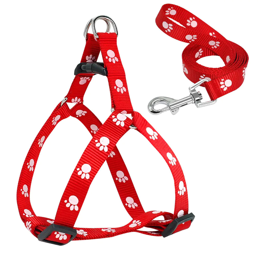 The Aero-Couture: Patterned Designer Collar & Lead System