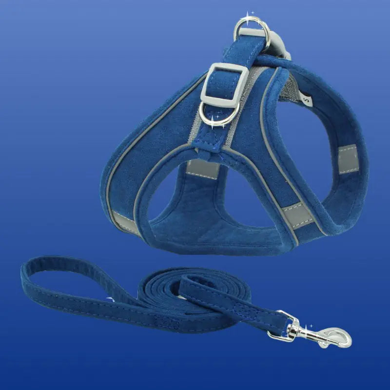 The Urban Explorer Cat Harness & Leash Set