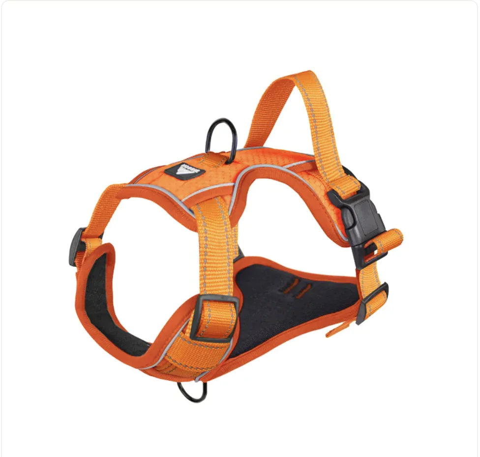 The Aero-Avenue: Night-Vision High-Visibility Harness