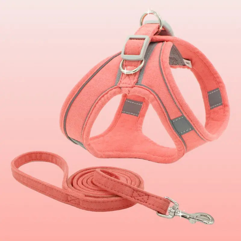 The Urban Explorer Cat Harness & Leash Set